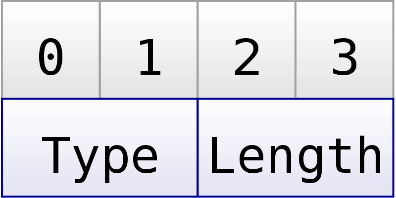 Beginning of each “part”: Type and length.