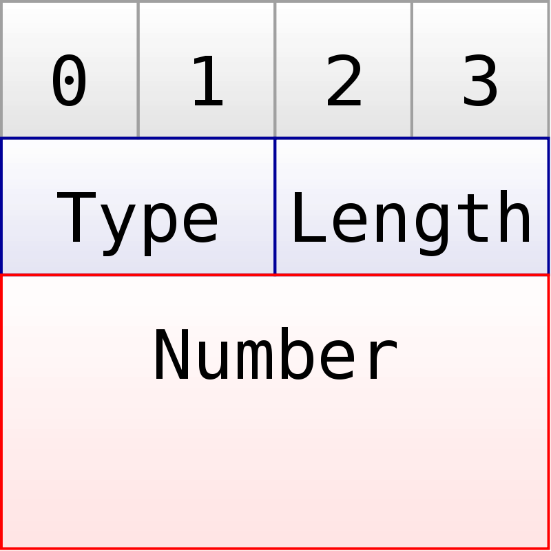 Structure of the “number” parts