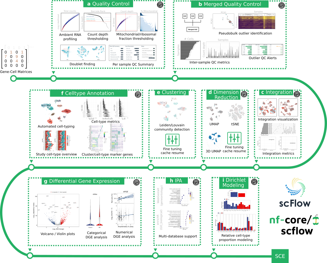 scflow_workflow.png