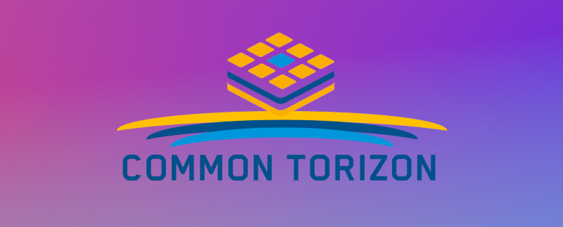 Common Torizon cover image