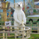 Kachaka MCP サーバー GitHub avatar