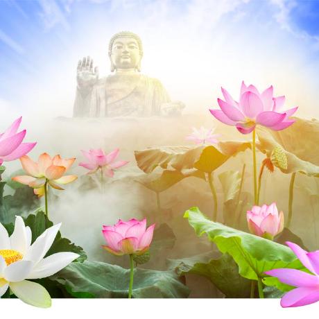 不祈十弦