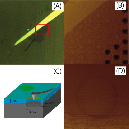 https://github.com/cooperrc/computational-mechanics/blob/master/images/afm_mos2.png?raw=true