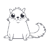 cryptocopycats
