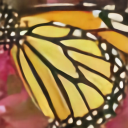 butterfly_GT_x2_2274.png