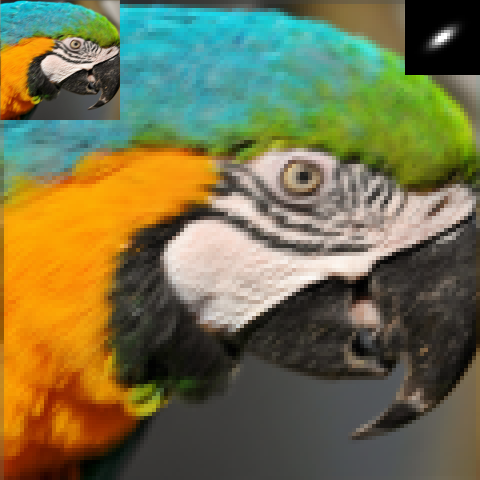 parrot_x4_k6_LR.png