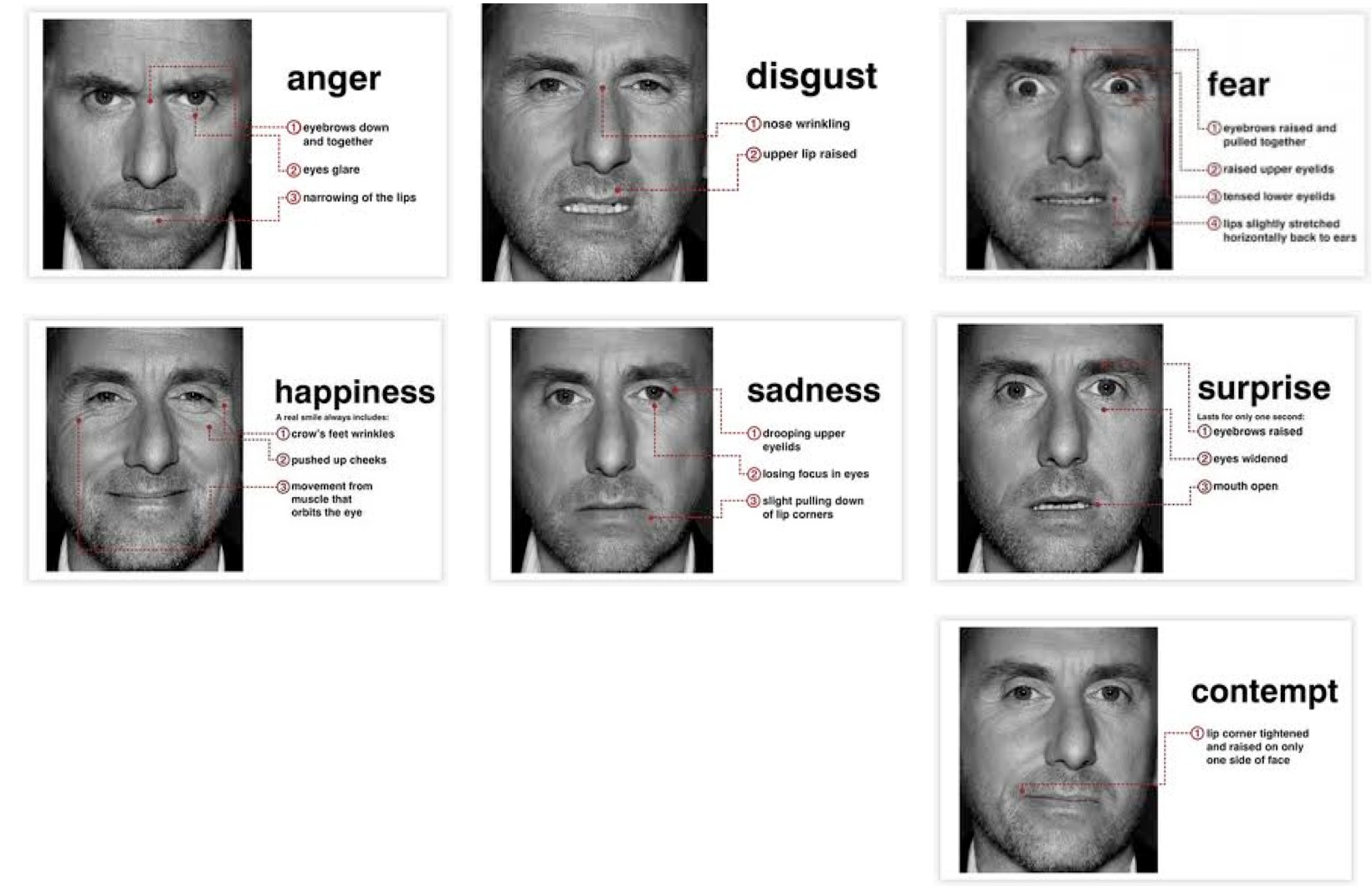 http://www.subliminalhacking.net/wp-content/uploads/2010/07/MicroExpressions.png