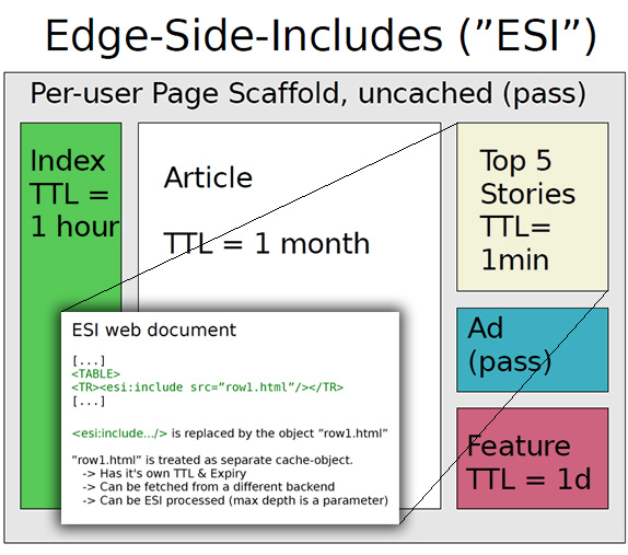 esi_2.jpg