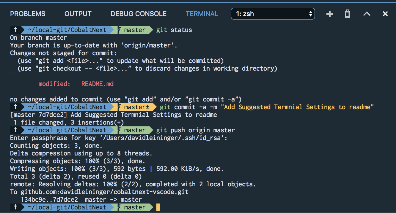 Terminal Preview