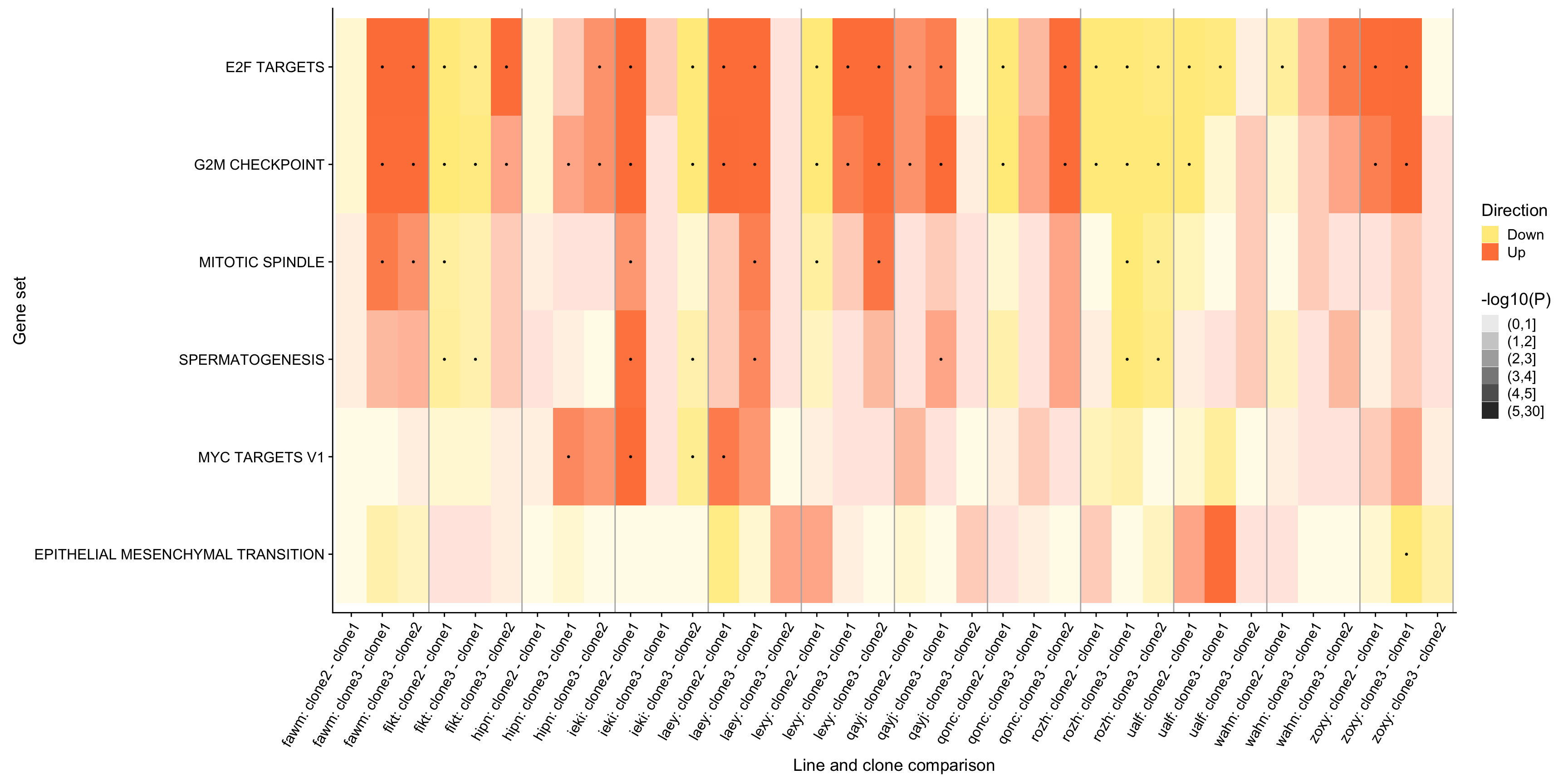 top_genesets_H_direction_heatmap_all_contrasts-simple-1.png