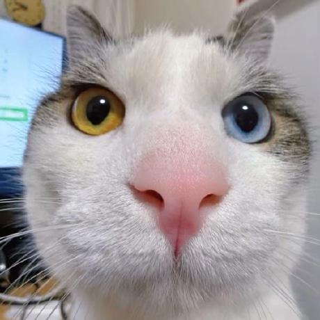 Next AI Draw.io: AI-Powered Diagram Creation & Visualization GitHub avatar