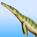 dcharatan