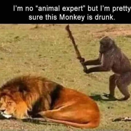 telegram-reaction-prober