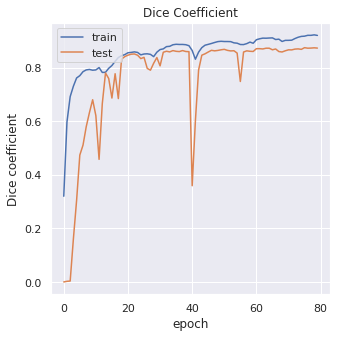 Best training curve_dice.png