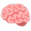 deepbrainspace