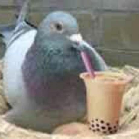 deepdive543443