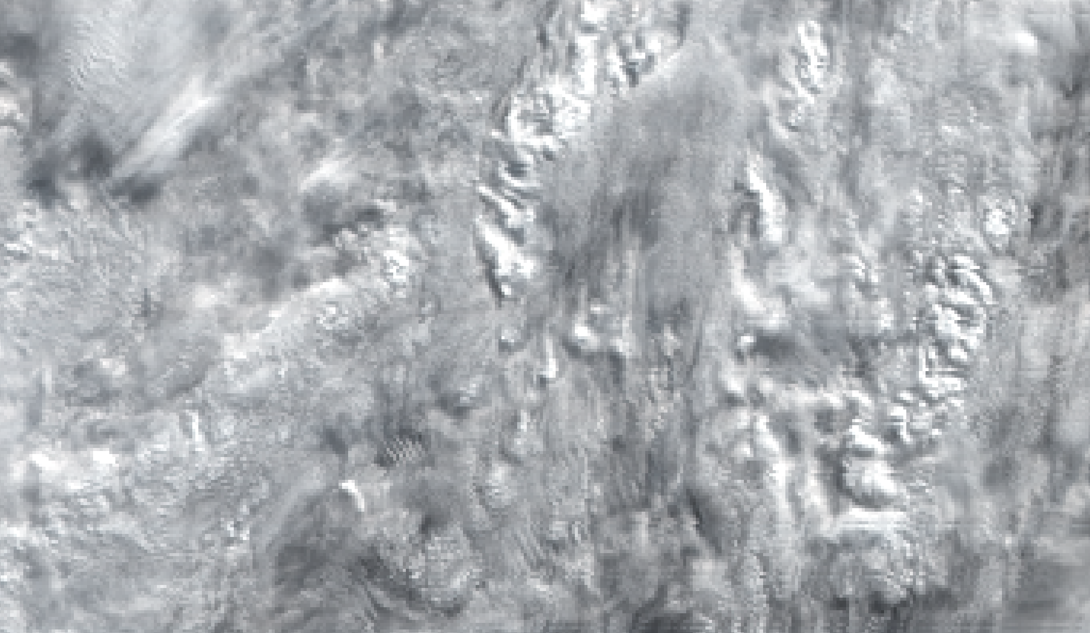 viirs_M5M4M3_ori(750m).png