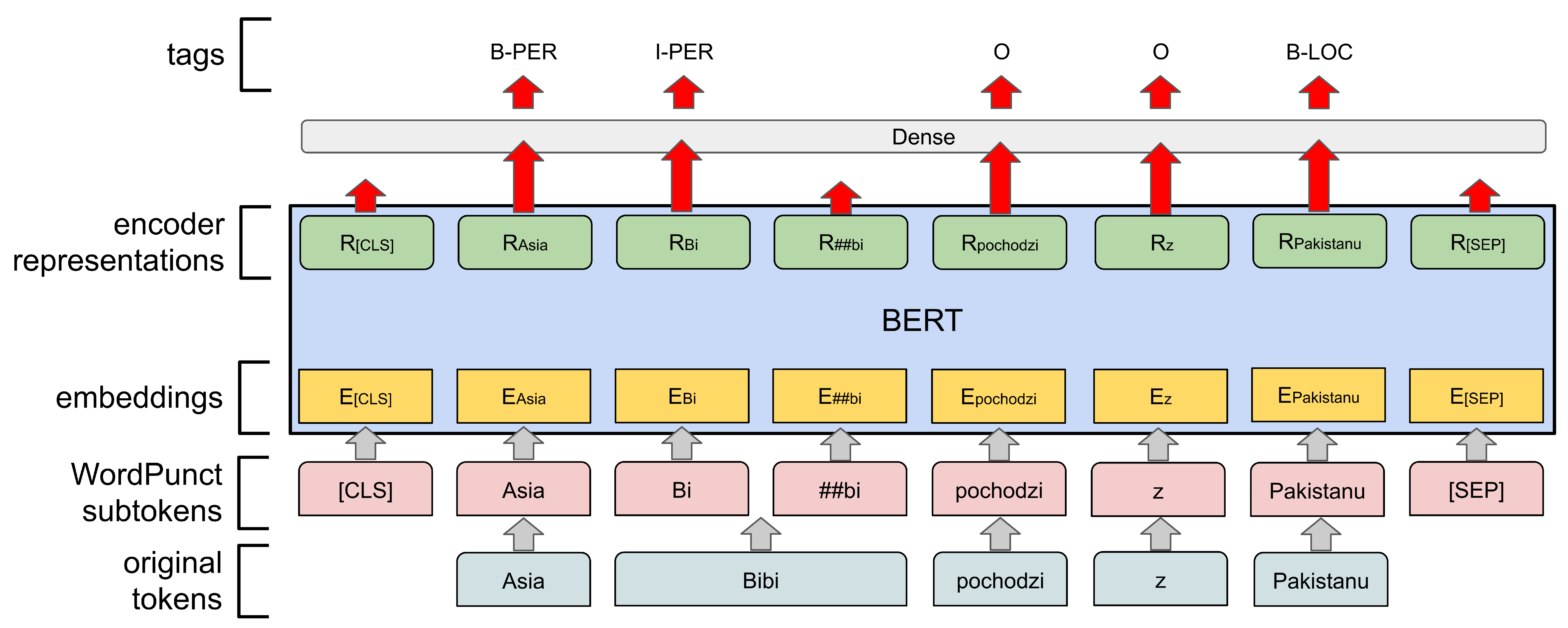 bert_ner_diagram.png