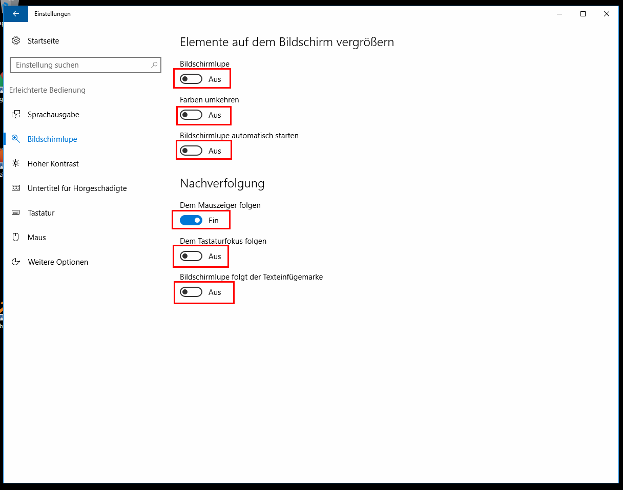 Einstellungen_Erleichterte_Bedienung_Bildschirmlupe.png