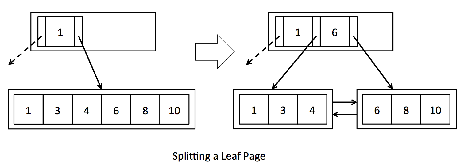 lab5-splitting_leaf.png