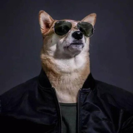 derek44554