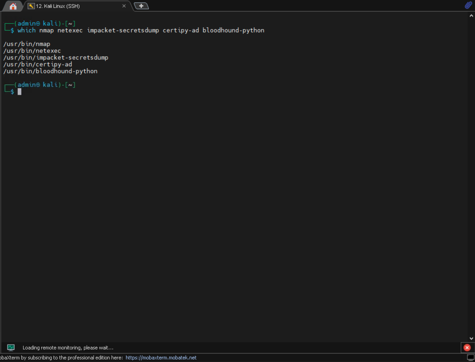 which output confirming nmap, netexec, impacket-secretsdump, certipy-ad, and bloodhound-python are in PATH