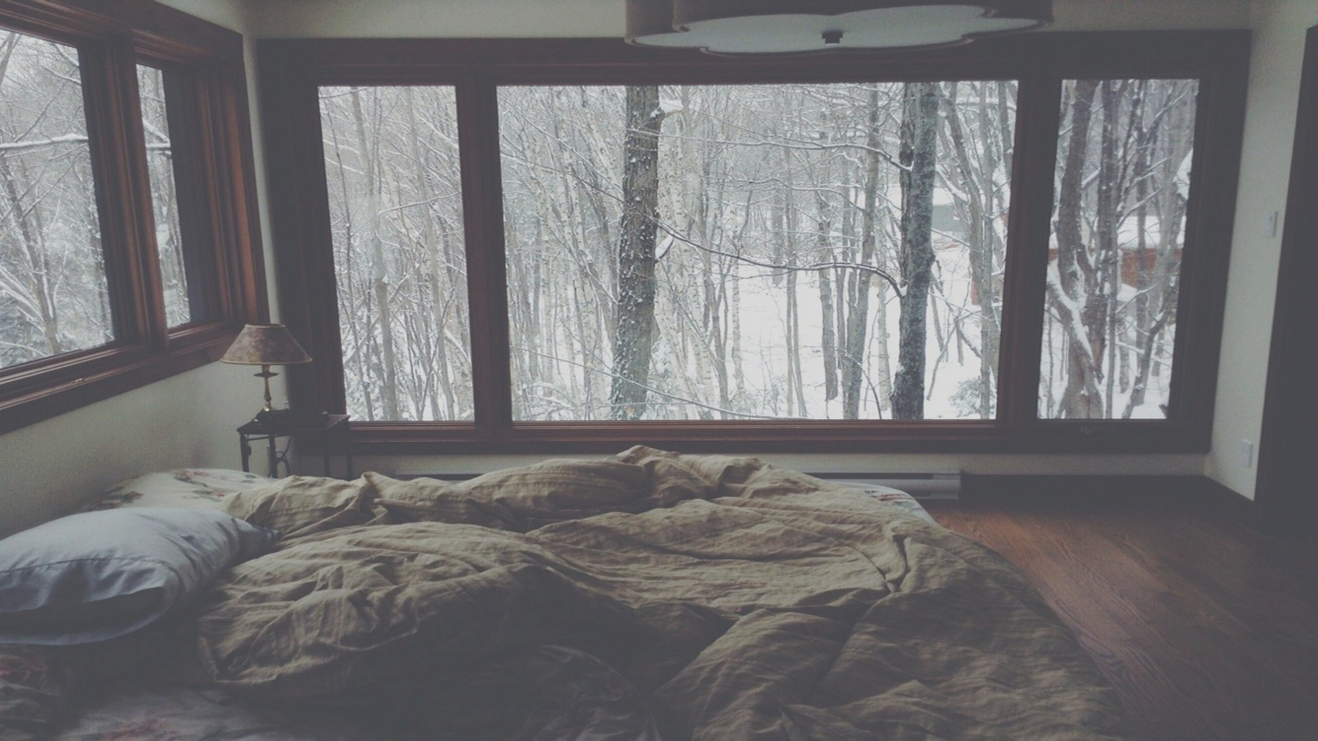 a_bed_with_a_view_of_trees_outside.jpg