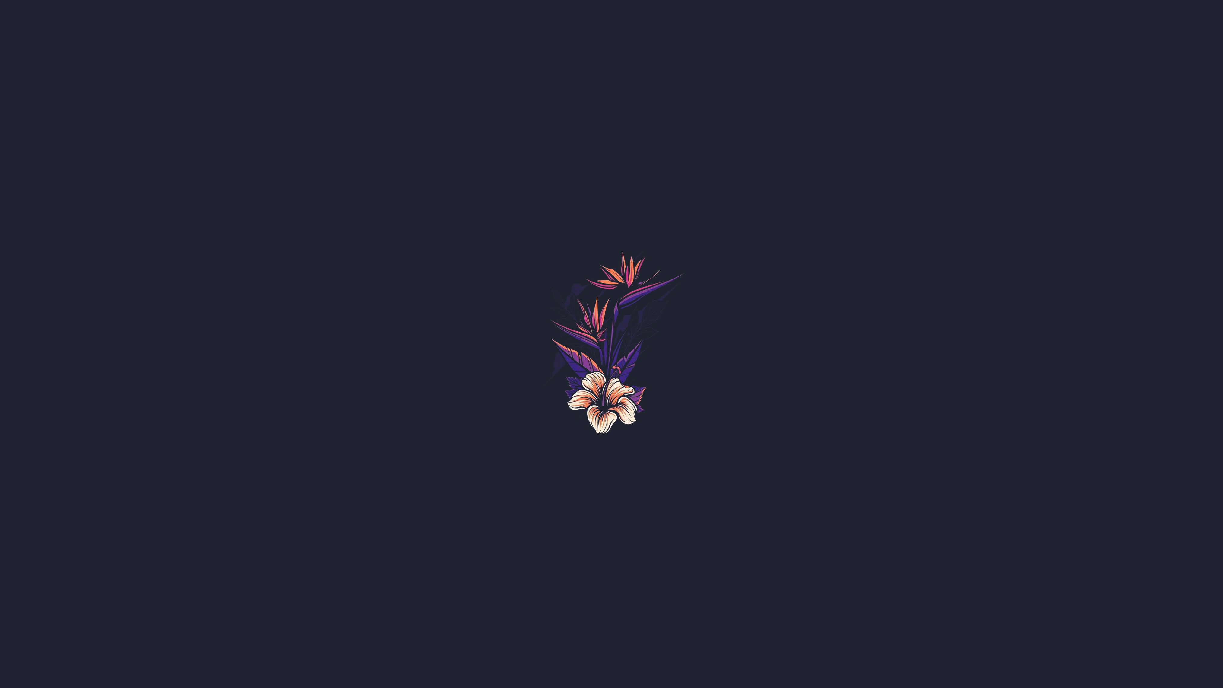 a_flower_on_a_dark_background.png