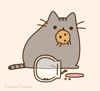 cat-eats-cookie.gif