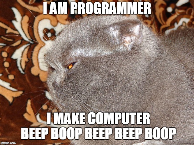 i_am_programmer.jpg