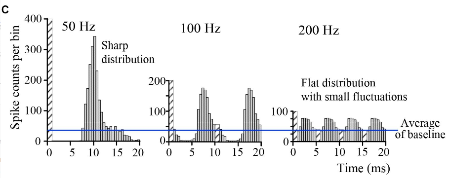 amplitude modulation nerve activation distribution
