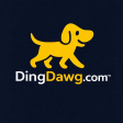 dingdawg-dev avatar