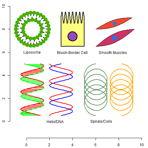 Examples.Bioshapes.png