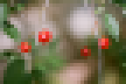 dst_pixelate.png