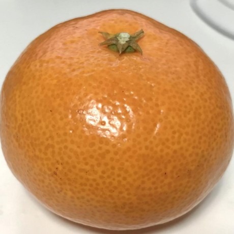 dlunch