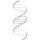 dnaerys