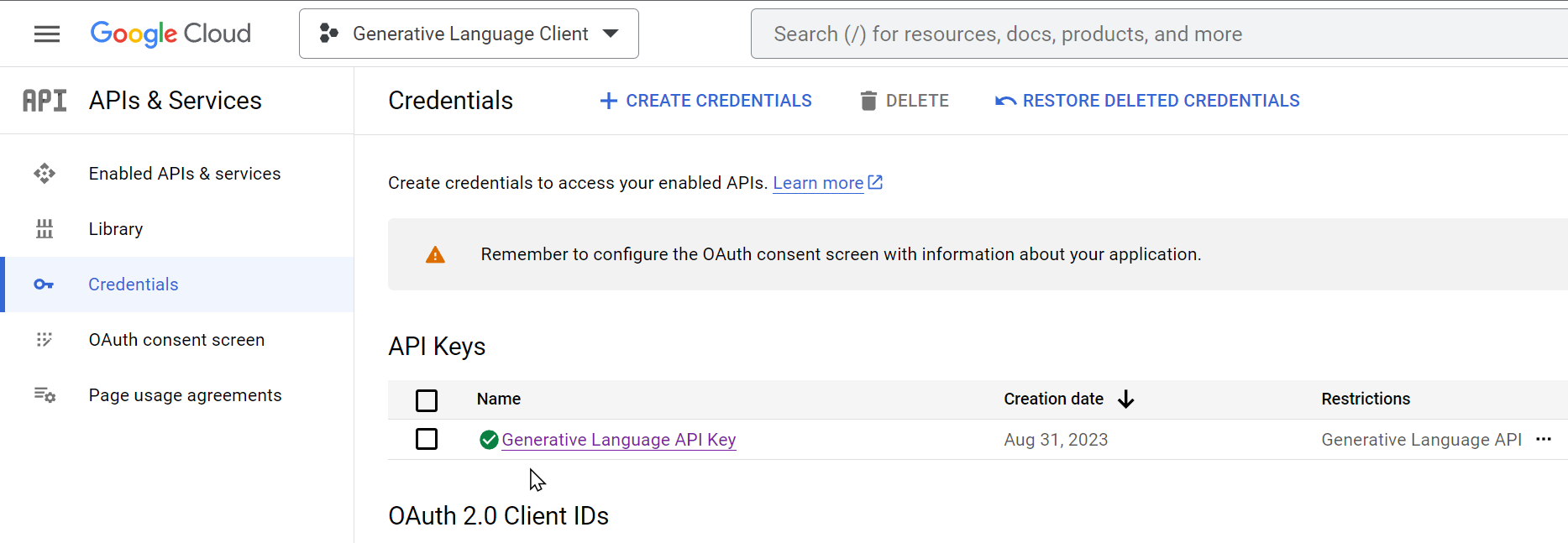 APIs & Services - Credentials - API Keys