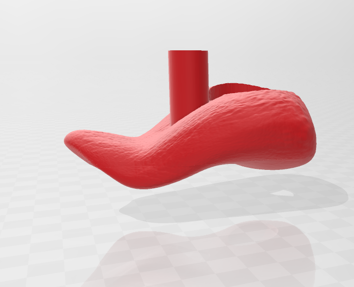 Tongue_3D_rendering.png