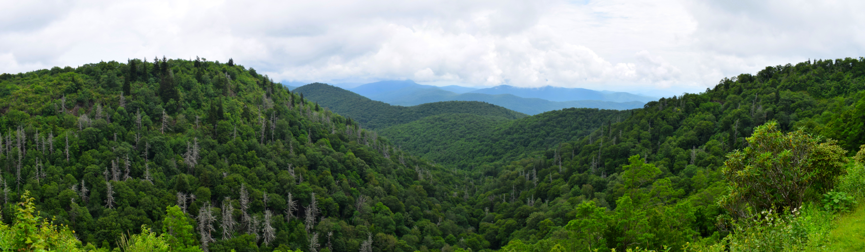 2017070313 Blue Ridge Parkway small.jpg