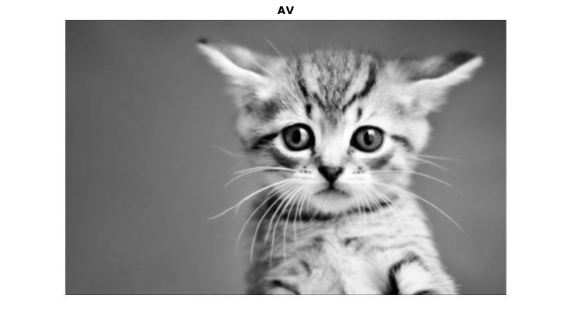 AV_kitty.png