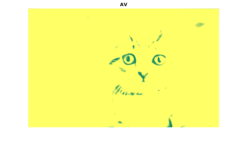 AV_kitty1.png