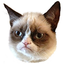 grumpycat.png