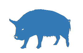 Sus_scrofa.png