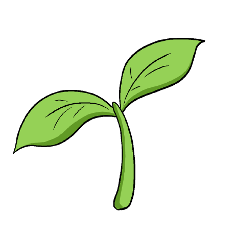 elixir-mint