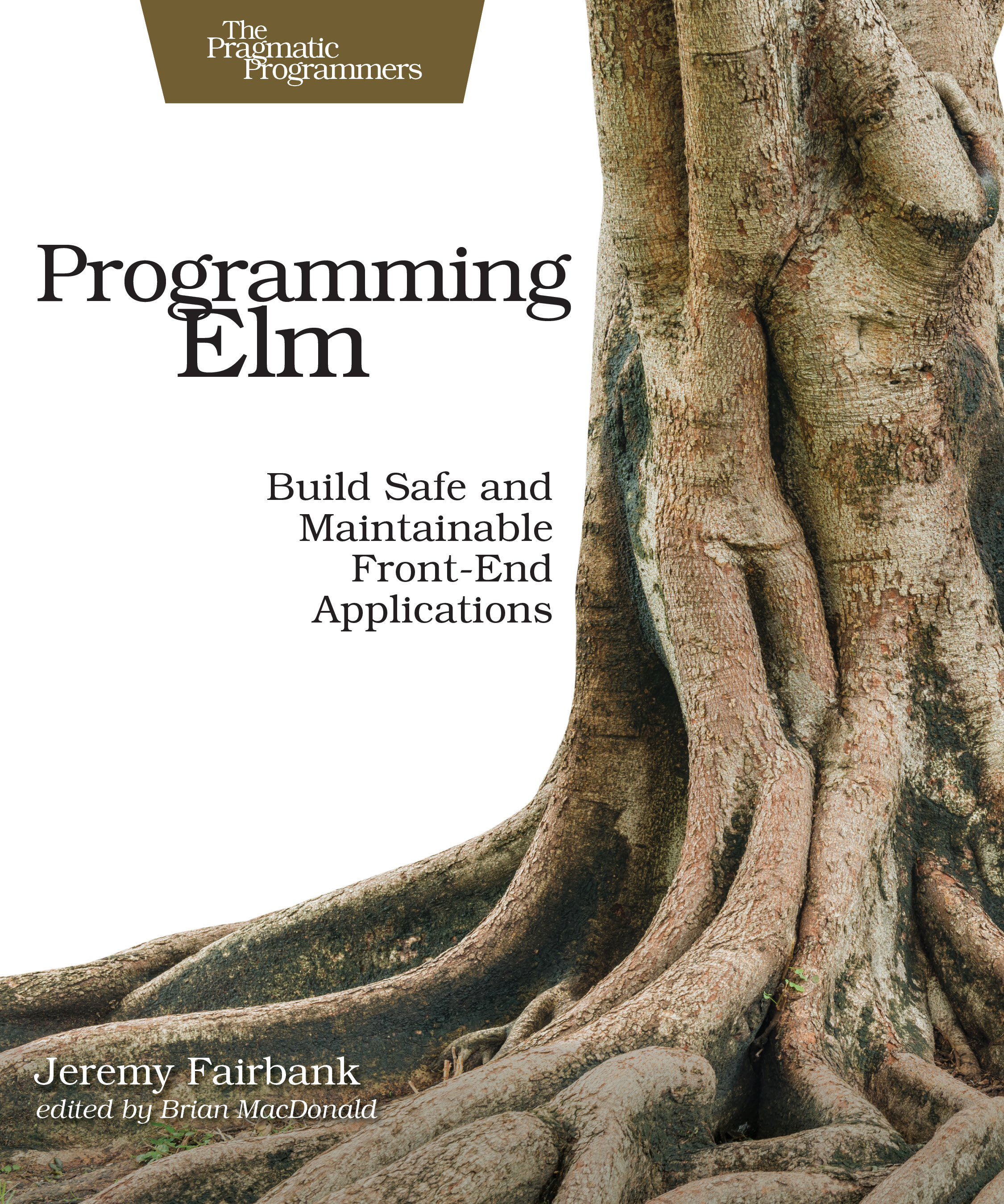 programming-elm.jpg