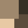 9F886D_362F25_E8C9A4_5C4C3C-palette.png