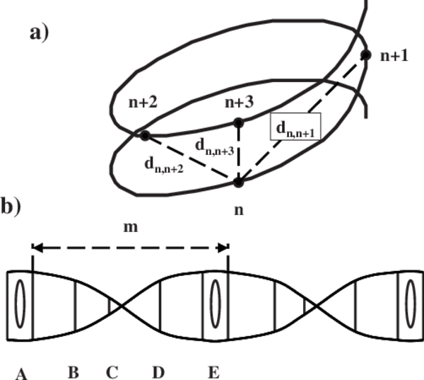 a-Arbitrary-sequence-of-three-consecutive-nucleotides-along-a-helical-path-whose-metric
