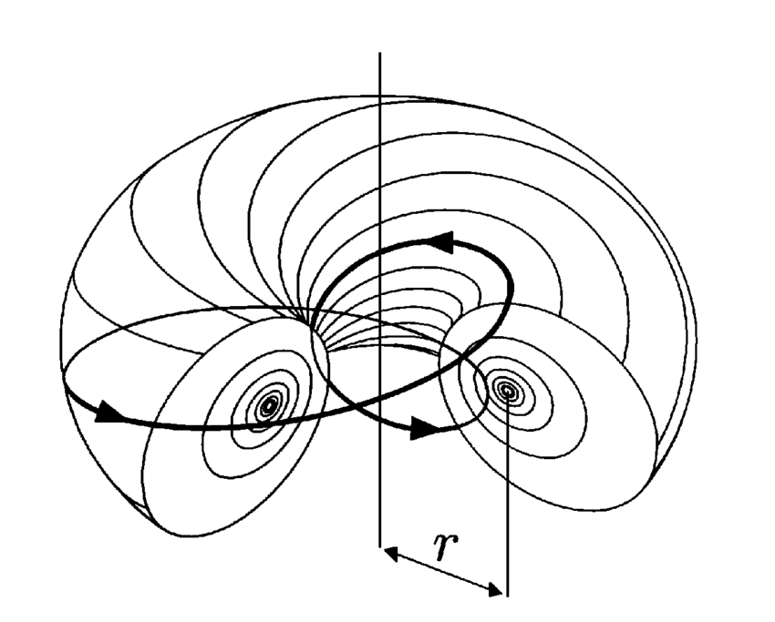 Schematic-of-the-internal-energy-ow-in-the-model-The-lines-of-ow-geodesics-circulate