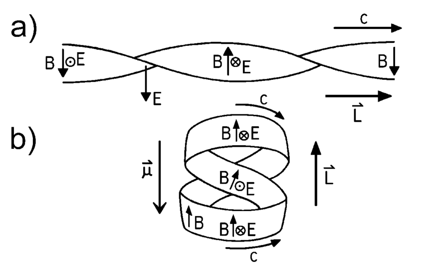 a-Twisted-strip-model-for-one-wavelength-of-a-photon-with-circular-polarisation-in-at