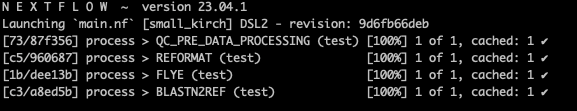 nextflow_log.png
